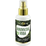PURITY VISION Bio Соснова вода 100 мл 1×100 мл, соснова вода: ціни та характеристики