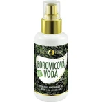 PURITY VISION Bio Соснова вода 100 мл 1×100 мл, соснова вода: ціни та характеристики