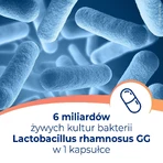 Дикофлор 6, 20 капсул: ціни та характеристики