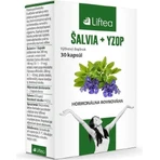 Лифтея ALVIA + YZOP cps 1x30 шт.: цены и характеристики