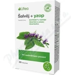 Лифтея ALVIA + YZOP cps 1x30 шт.: цены и характеристики