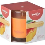 Bolsius Aromatic 2.0 Glass Mango ароматическая свеча 1×1 шт, размер 95 x 95 мм: цены и характеристики