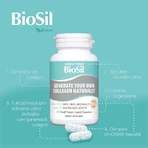 Коллаген Biosil Advanced Collagen Generator, 60 капсул: цены и характеристики