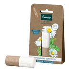 Kneipp Repair & Prevent, бальзам для губ, бальзам с ромашкой, 4,7 г: цены и характеристики
