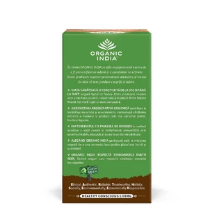 Чай Tulsi Ayush Ayush KWATH, 25 пакетиків, Органічна Індія