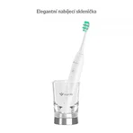 Ультрафиолетовая звуковая зубная щетка TrueLife SonicBrush GL: цены и характеристики
