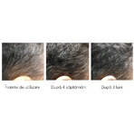 Набор против выпадения волос, Ageless Clinic, 3 штуки, Ru:t hair, 80 мл, Biocart: цены и характеристики