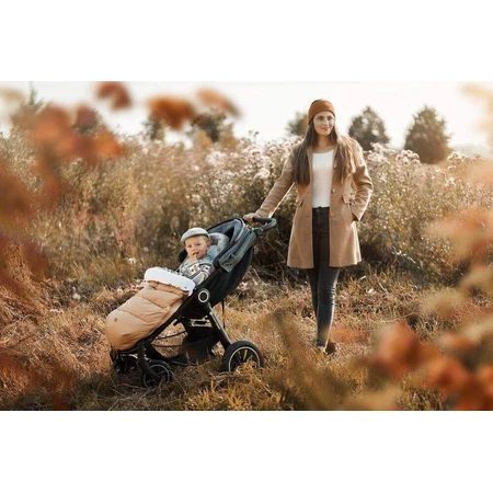 Petite&Mars Comfy Fusak 4в1 Елегантна карамель: ціни та характеристики