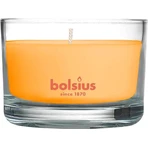 Ароматична свічка Bolsius Aromatic 2.0 Glass Mango 1×1 шт, розмір 80 х 50 мм: ціни та характеристики