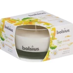 Ароматична свічка Bolsius Aromatic 2.0 Glass Mango 1×1 шт, розмір 80 х 50 мм: ціни та характеристики