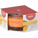 Ароматична свічка Bolsius Aromatic 2.0 Glass Mango 1×1 шт, розмір 80 х 50 мм: ціни та характеристики
