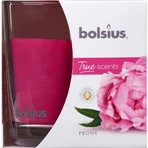 Bolsius Aromatic 2.0 Glass 95x95mm Peony, ароматическая свеча 1×1 шт, ароматическая свеча: цены и характеристики
