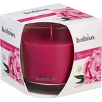 Bolsius Aromatic 2.0 Glass 95x95mm Peony, ароматическая свеча 1×1 шт, ароматическая свеча: цены и характеристики