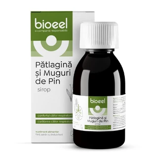 Патлагин и сироп из сосновых почек, 120 мл, Bioeel