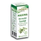Ефірна олія евкаліпта Maxima, 10 мл, Justin Pharma