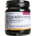 LIFTEA COLAGENOVA HA 1×390 г, порошок для приготовления напитков