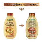Garnier Botanic Therapy Мед і прополіс Живильний шампунь для дуже пошкодженого волосся 400 мл: ціни та характеристики