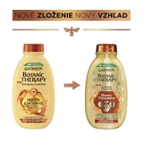 Garnier Botanic Therapy Honey & Propolis Revitalizing Ampon 400 мл