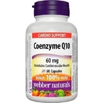 WEBBER NATURALS Коэнзим Q10 60 мг 1×60 капс, пищевая добавка: цены и характеристики