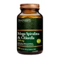 Спіруліна та Хлорелла Doctor Life Mega Spirulina &amp; Chlorella Organic, 200 таблеток