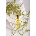 Парфуми Cameleonia's Parfum GREEN, Аромат ранкової роси, рулон 10 мл: ціни та характеристики