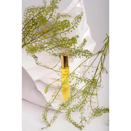 Парфуми Cameleonia's Parfum GREEN, Аромат ранкової роси, рулон 10 мл: ціни та характеристики