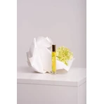 Парфуми Cameleonia's Parfum GREEN, Аромат ранкової роси, рулон 10 мл: ціни та характеристики