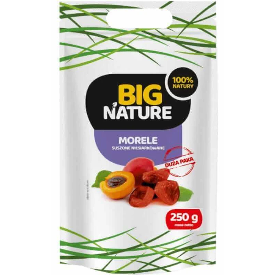 Абрикос курага без кісточок 250г Big Nature: ціни та характеристики
