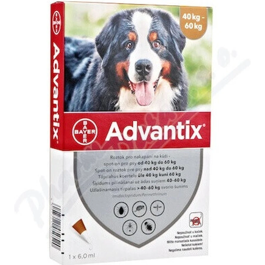 Адвантикс Спот-он для собак от 40 до 60 кг (1 пипетка) 1х6 мл: цены и характеристики
