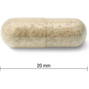 JAMIESON ECHINACEA 1200 мг 1×120 капс, пищевая добавка