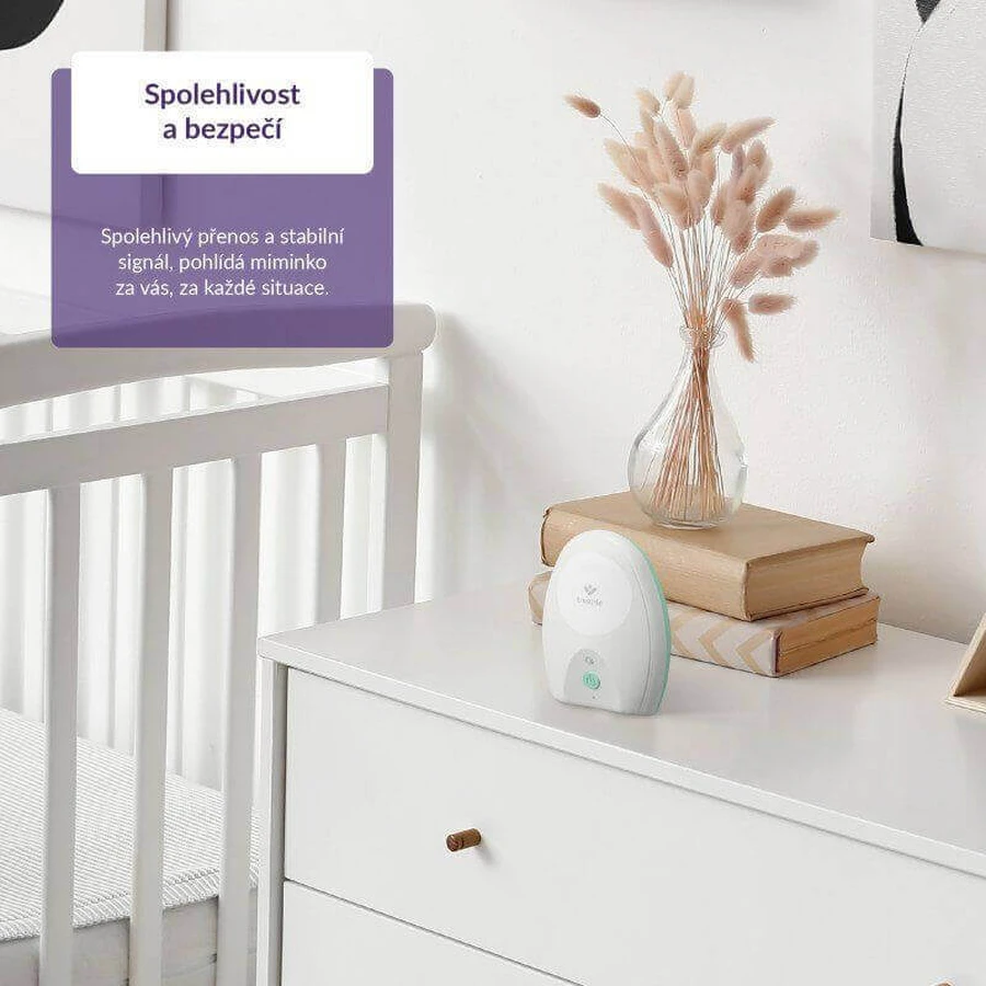 TrueLife NannyTone VM Pocket Diaper Digital Audio: цены и характеристики