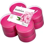 Bolsius Aromatic 2.0 Aromatic Maxi 8шт Пион, ароматические свечи 1×8шт, ароматическая свеча: цены и характеристики