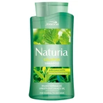Joanna Urtica & Green Tea Shampoo, 500 мл: цены и характеристики