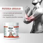 Органічний рослинний гель LifeCare Bear's Power Krauter Remedium, протиревматичний, 250 мл: ціни та характеристики