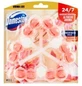 Domestos Aroma Lux Dahlia Flower &amp; Dragonfruit WC блок 3 x 55 г