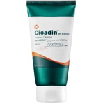 Missha Cicadin Ph Blemish Foaming Cleanser 150 мл 1×150 мл: цены и характеристики