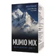 Мумио Микс 60 таблеток САНБИОС