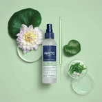 Phyto Volume, спрей для придания объема, 150 мл: цены и характеристики