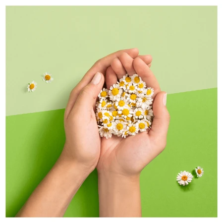 Naturella, Наволочки с крылышками, Ultra Maxi, 8 шт.: цены и характеристики