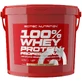 SciTec Nutrition 100% Whey Protein Professional ваніль/ягоди 5000 г