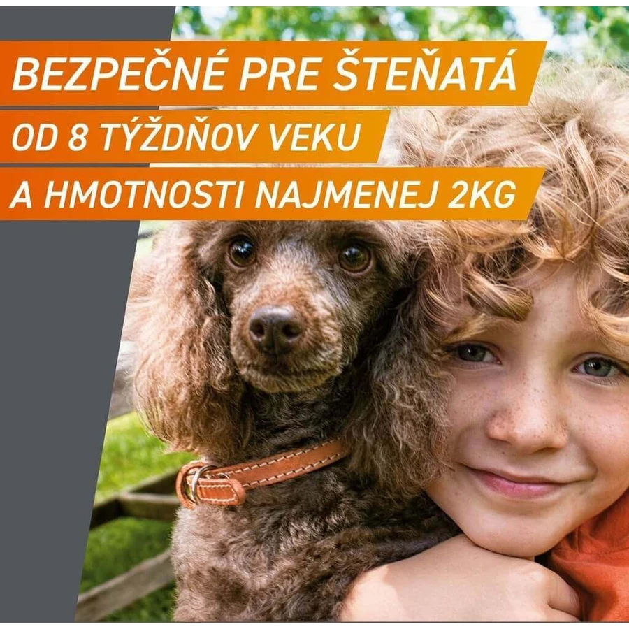ФРОНТПРО® противопаразитарные таблетки для ингаляций для собак (4-10 кг) 1×3 табл, противопаразитарные таблетки: цены и характеристики