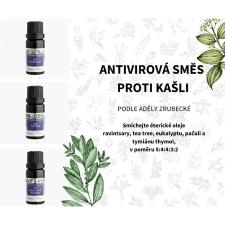 Nobilis Tilia Ефірна олія біо Eucalyptus radiata 5 мл: ціни та характеристики