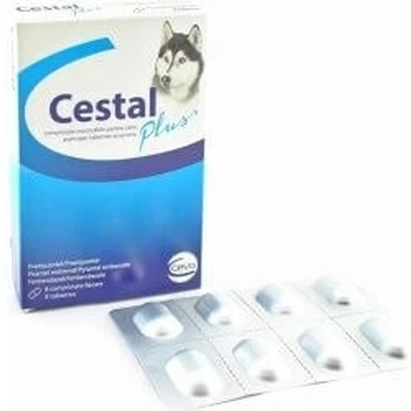 Cestal Plus таблетки для отъема детей у собак 1×8 табл, ароматизированные таблетки для собак: цены и характеристики