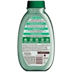 Шампунь Garnier Botanic Therapy Zielona Herbata Eukaliptus & Cytrus, очищувальний й тонізувальний, 400 мл: ціни та характеристики