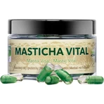 Masticlife Masticha Vital, подвійна дія Masticlife 60 капсул: ціни та характеристики