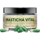 Masticlife Masticha Vital, подвійна дія Masticlife 60 капсул