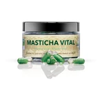 Masticlife Masticha Vital, подвійна дія Masticlife 60 капсул: ціни та характеристики