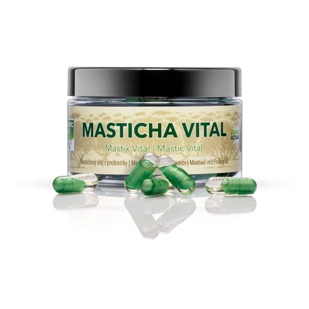 Masticlife Masticha Vital, подвійна дія Masticlife 60 капсул: ціни та характеристики