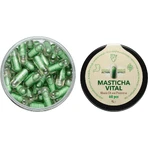 Masticlife Masticha Vital, подвійна дія Masticlife 60 капсул: ціни та характеристики