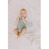 Jellystone Designs Teether Sun, мятный/голубой